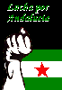 Andalusia: Against Spanish Constitution - Andaluc�a: Contra la Constituci�n espa�ola