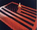 Sun 12/14 Film Premier Third Party: Political Alternatives in the Age of Duopoly"