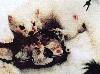 ANTI-FUR DAY OF ACTION- MArch 13- Neiman Carcass Headquarters