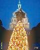 AMERICA'S NATIONAL CHRISTMAS TREE 2004