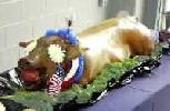 Special Holiday Recipe: ROASTED DOUBLE-STUFFED STUFFED PIG A LA FALLUJAH
