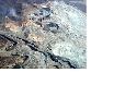 Stop Mountaintop Removal! A call to action March 31st!