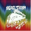 all Aboard the Peace Train: Southern regional Amtrak train to UFPJ protest