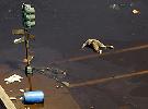 Warning graphic photos of the Dead