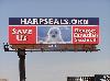HSUS APPLAUDS GREENLAND FOR ENDING ALL IMPORTS OF CANADIAN SEALSKINS