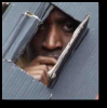 Ethnic purges in France ?