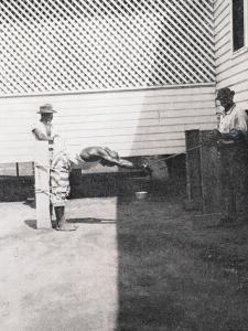 The Racialization of Crime and Punishment--part 2 of an interview w/ Nancy A. Heitzeg