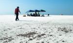 Vote for Grant to Aid Gulf Coast Businesses & Nonprofits Impacted by Oil Spill