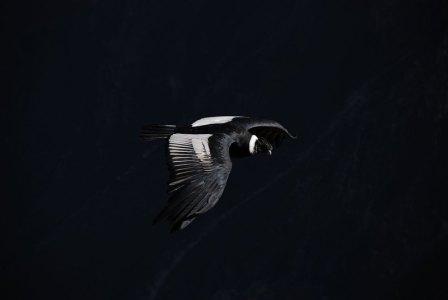 One different Easter