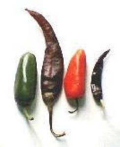 La Chilena